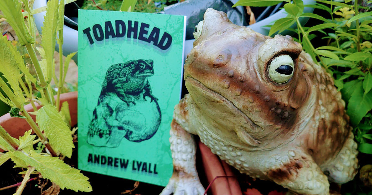 toadhead.jpg